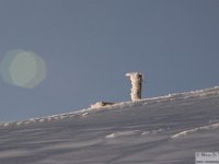2025-12-27 Il Costone 141